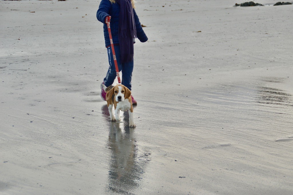 Apres-midi PLAGE 20/01/24